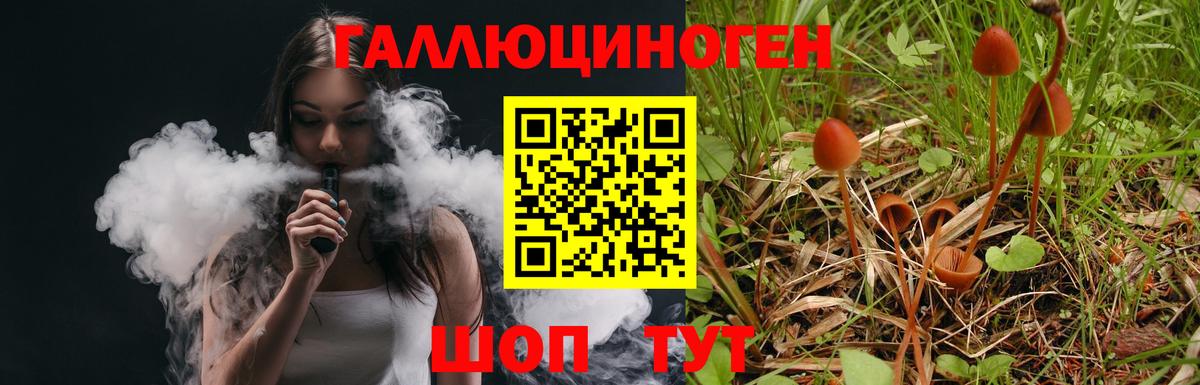 Галлюциногенные грибы MAGIC MUSHROOMS Родники